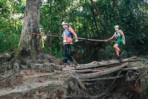 BIB: 
                            <button type="button" onclick="openModal(27753117)" class="btn btn-primary btn-sm float-right btn-popup" data-toggle="modal" data-target=".modal-high-quality">
                        <i class="fas fa-shopping-cart"></i> Add to Cart
                    </button>
                                            <button type="button" onclick="isThisMe(27753117, true)" class="btn btn-success btn-sm float-right btn-popup btn-isme hidden" data-toggle="tooltip" data-placement="bottom" title="นี่คือรูปของคุณใช่ไหม คลิกที่นี่เพื่อเอาเข้าอัลบั้ม">
                        <i class="fas fa-plus"></i> Add to album
                    </button>
                    <button type="button" onclick="isThisMe(27753117, false)" class="btn btn-warning btn-sm float-right btn-popup btn-isnotme hidden">
                        <i class="fas fa-ban"></i> Remove from album
                    </button>